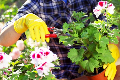 Hedge trimming team preparing equipment before a job
