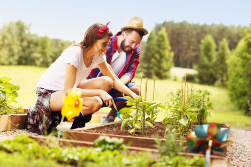 Professional garden clearance in Hainault