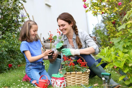 Lush garden with vibrant flowers in Hainault