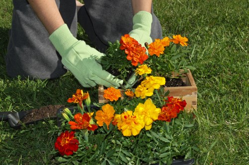 Professional landscaper working on garden design in Hainault