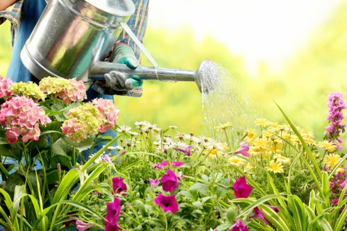 Professional landscaper designing a garden in Hainault