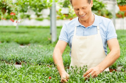 Proper mowing techniques for a healthy lawn
