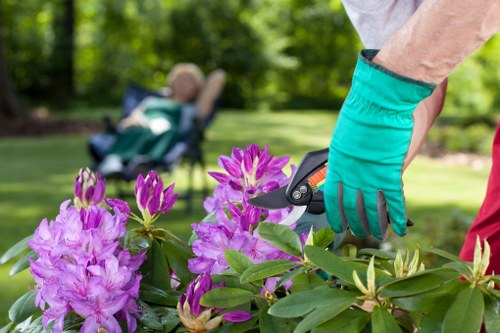 Operative wearing appropriate PPE while trimming a hedge