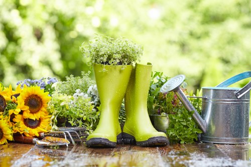 Garden clearance process overview