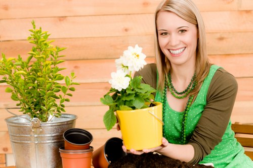 Hainault climate impacting garden maintenance