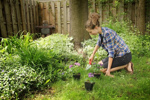 A young woman with curly brown hair, wearing a blue and black checked shirt and black jeans, is kneeling on a lush, green lawn in a garden in Hainault, Essex. She is tending to small potted flowering plants, including purple and white varieties, which are arranged along the edge of the grass near a tall tree with a thick trunk. The garden features a wooden fence in the background, along with dense foliage, shrubs, and garden tools, including a charcoal barbecue. The area is illuminated by natural daylight, suggesting a mild, sunny day, with well-maintained grass and a mix of garden borders and plantings typical of a suburban outdoor space. This scene exemplifies professional gardening and lawn care services offered by Hedge Trimming Hainault, focusing on gardening maintenance, planting, and yard beautification efforts in the local area.