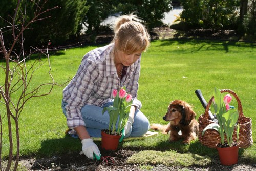 Healthy soil preparation for Hainault gardens