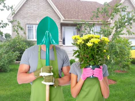 Two-person team trimming a tall boundary hedge with a chipper
