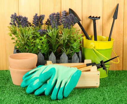 Environmentally friendly hedges enhancing garden biodiversity